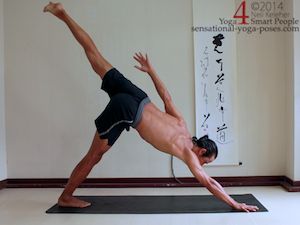 down dog yoga pose, downward facing dog pose, downward dog pose with one arm and one leg lifted, using serratus anterior to stabilize the shoulder blade with one arm supporting the body