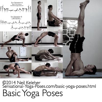 basic yoga poses