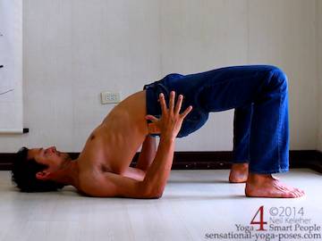 beginners yoga poses, beginners yoga workout, sensational yoga poses, basic yoga poses, bridge yoga pose for beginners