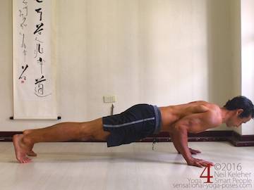 Prone Yoga Poses, Chaturanga dandasana Neil Keleher, Sensational Yoga Poses