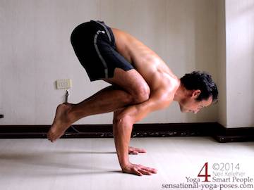 bakasana/kakasana, crow (or crane) arm balance pose