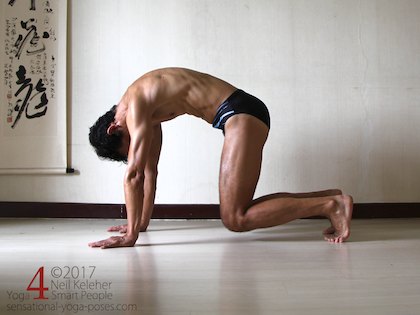 Forward bend for the spine on all fours with knees lifted, dog pose. Neil Keleher. Sensational Yoga Poses.