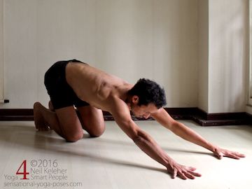 Scapular stabilization, downward dog. Neil Keleher. Sensational Yoga Poses.