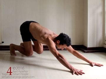 Prone Yoga Poses, on all fours pushing hips rearwards and lifting knees, Neil Keleher, Sensational Yoga Poses