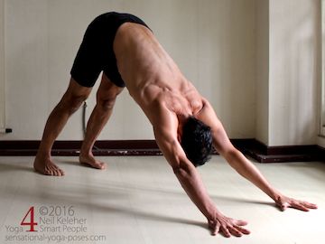 Down dog with shoulder blades elevated relative to the chest. Neil Keleher. Sensational Yoga Poses.