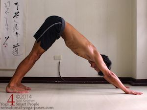 yoga poses, yoga postures, belly down yoga poses, downward facing dog (adho muka svanasana) with head in line with the arms