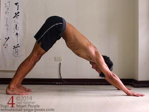 downward dog with heels down. Neil Keleher, Sensational Yoga Poses.