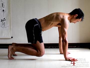 Shoulder blades protracted on all fours so that ribcage moves up away from floor.