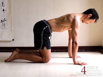 bharmanasana, dog pose with shoulder blade protraction