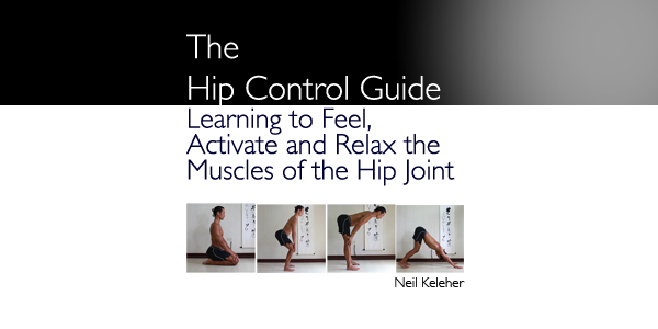 The Hip Control Guide by Neil Keleher: Learning to Feel and Control the Hip Muscles