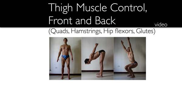 Basic muscle control: quadriceps, hip flexors, hamstrings, gluteus maximus, Neil Keleher. Sensational Yoga Poses.