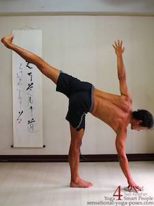 half moon shoulder strengthening texercises,  Neil Keleher, Sensational Yoga Poses.