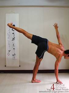 half moon shoulder strengthening exerises,  Neil Keleher, Sensational Yoga Poses.
