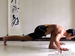 Low lunge (lizard) with elbows bend (as if doing a push up)