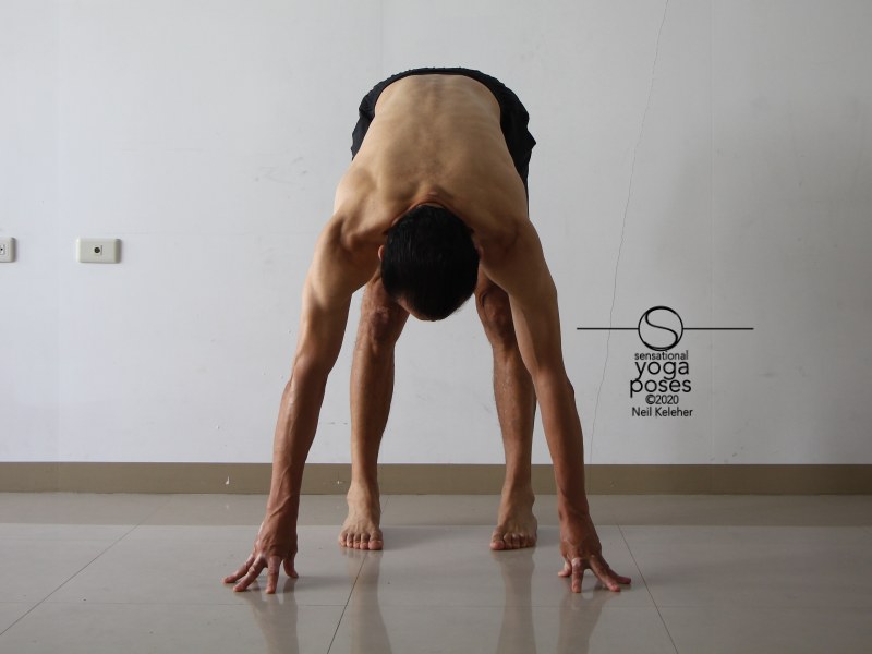 Standing forward bend with feet parallel. Neil Keleher, Sensational Yoga Poses.