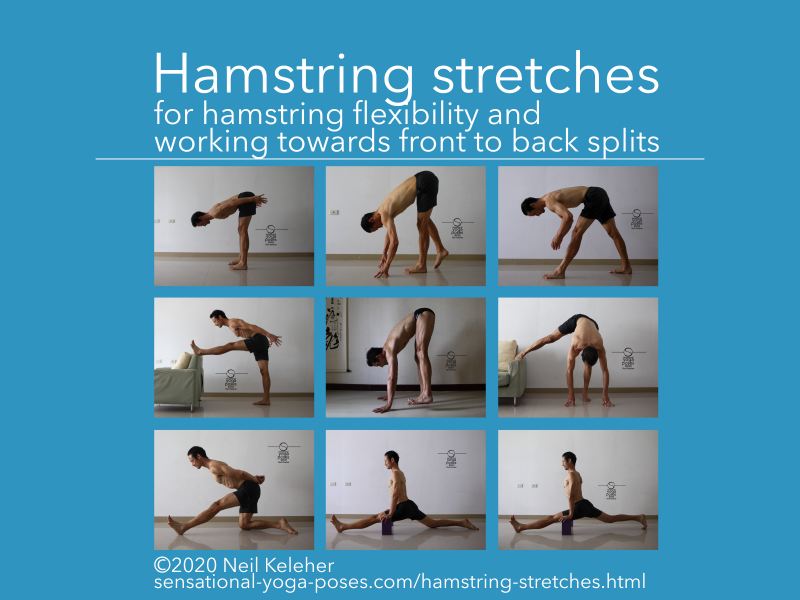 A selection of hamstring stretches for working towards the splits. Neil Keleher, Sensational Yoga Poses.