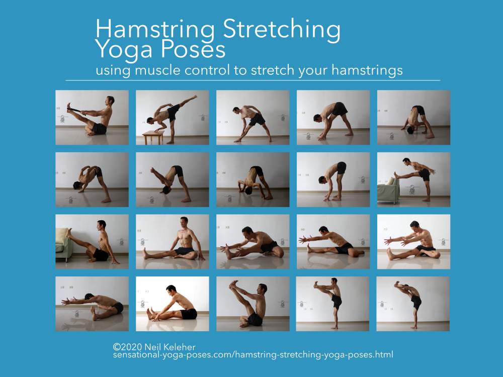 Hamstrings Stretching Exercises Hamstrings Stretching Exercises