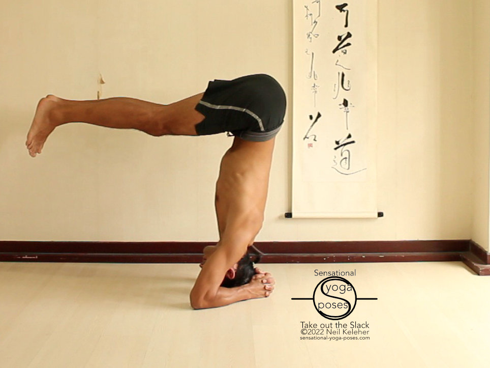 Lifting into headstand with knees straight, your hips will move back as your legs move towards horizontal. Feel your center of gravity using your elbows and the crown of your head.