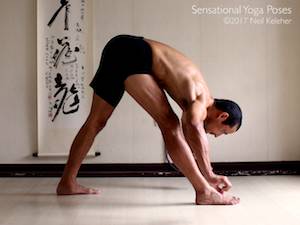 Pyramid pose forward bend (parsvottanasana). Neil Keleher, Sensational Yoga Poses.