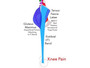 Knee pain can occur aroudn the insertion of the IT band into the tibia. Neil Keleher. Sensational Yoga Poses.
