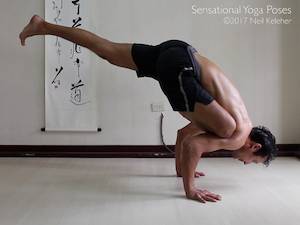 Galavasana arm balance, also known as the flying pigeon arm balance Neil Keleher, Sensational Yoga Poses.