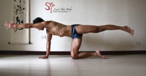 Bird dog yoga pose with same side arm and leg lifted. Neil Keleher. Sensational Yoga Poses.
