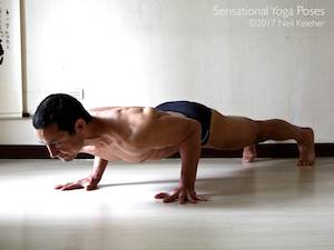 Chaturanga Dandasana. Neil Keleher, Sensational Yoga Poses.