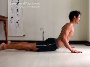 Cobra Yoga Pose. Neil Keleher, Sensational Yoga Poses.