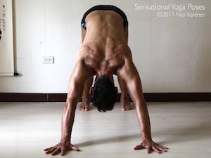 Downward Facing Dog Viewed from the front.  Neil Keleher, Sensational Yoga Poses.