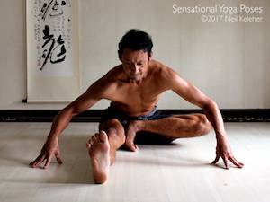 janusirsasana C. Neil Keleher, Sensational Yoga Poses.
