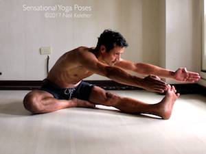 janusirsasana A. Neil Keleher, Sensational Yoga Poses.