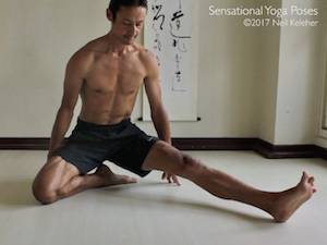 janusirsasana B. Neil Keleher, Sensational Yoga Poses.