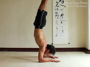 Pincha mayurasana or forearm balance. Neil Keleher, Sensational Yoga Poses.