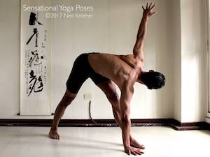 Revolved or twisting triangle yoga pose. Neil Keleher, Sensational Yoga Poses.