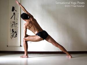 Side angle yoga pose. Neil Keleher, Sensational Yoga Poses.