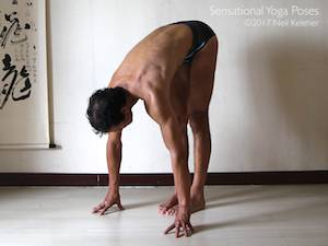 standing forward bend as quad stretching counterpose. Neil Keleher, Sensational Yoga Poses.