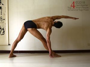 Triangle yoga pose with hand on floor. Neil Keleher, Sensational Yoga Poses.