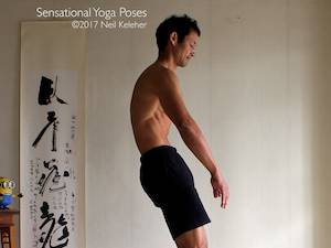 Yoga poses for abs, bending lumbar spine forwards with abs engaged, neil keleher, sensational yoga poses.