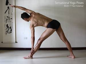 Triangle yoga pose. Neil Keleher, Sensational Yoga Poses.