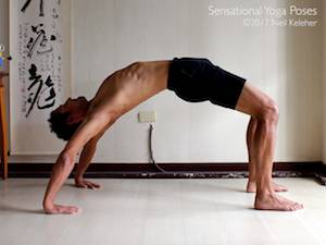 Wheel yoga pose. Neil Keleher, Sensational Yoga Poses.
