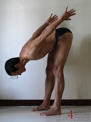 Standing forward bend with feet hip width and arms reaching upwards with hands unclasped. Neil Keleher. Sensational Yoga Poses.