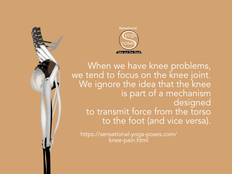 When we have knee problems, we tend to focus on the knee joint. We ignore the idea that the knee is part of a mechanism designed  to transmit force from the torso to the foot (and vice versa).  Neil Keleher, Sensational Yoga Poses.