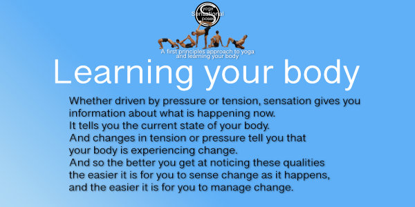 Understand your body - Body+