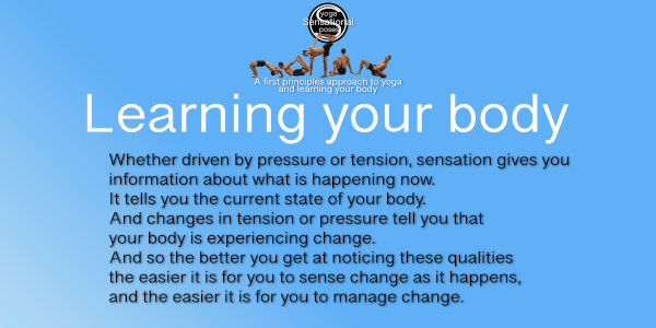 Experiencing our body what we can notice  is changes in tension, both muscle activation  sensation and connective tissue tension. We can also notice pressure, where the  surface of our body touches something else,  as well as touch without pressure. Neil Keleher, Sensational Yoga Poses.