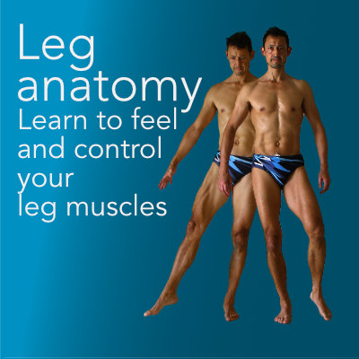 Leg anatomy video course. Neil Keleher, Sensational Yoga Poses.