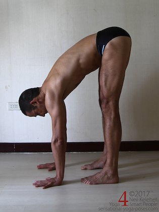 Standing forward bend with knees straight and hands flat on the floor. Quadriceps are engaged. Neil Keleher, Sensational Yoga Poses.