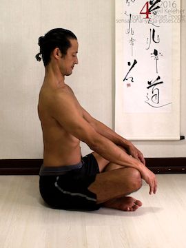 yoga pose brush strokes for spine, spine straight and long