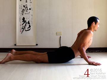 cobra yoga pose (bhujangasana)