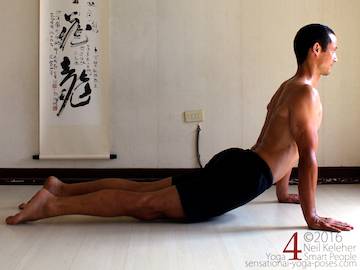 Prone Yoga  Yoga Sequences, Benefits, Variations, and Sanskrit