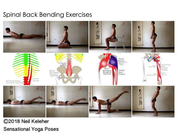 Spinal Backbending exercises (and relevant anatomy). Neil Keleher. Sensational Yoga Poses.